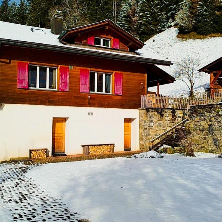 Chalet Sonnenhof Wengen - Apartment mit 1 Schlafzimmer - 8