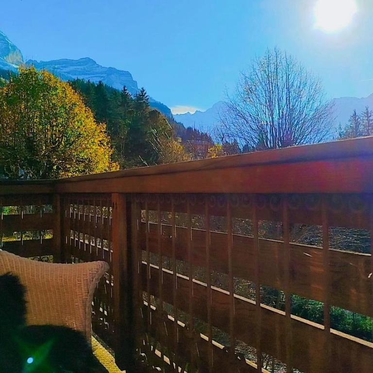 Chalet Sonnenhof Wengen - Deluxe Apartment - 22