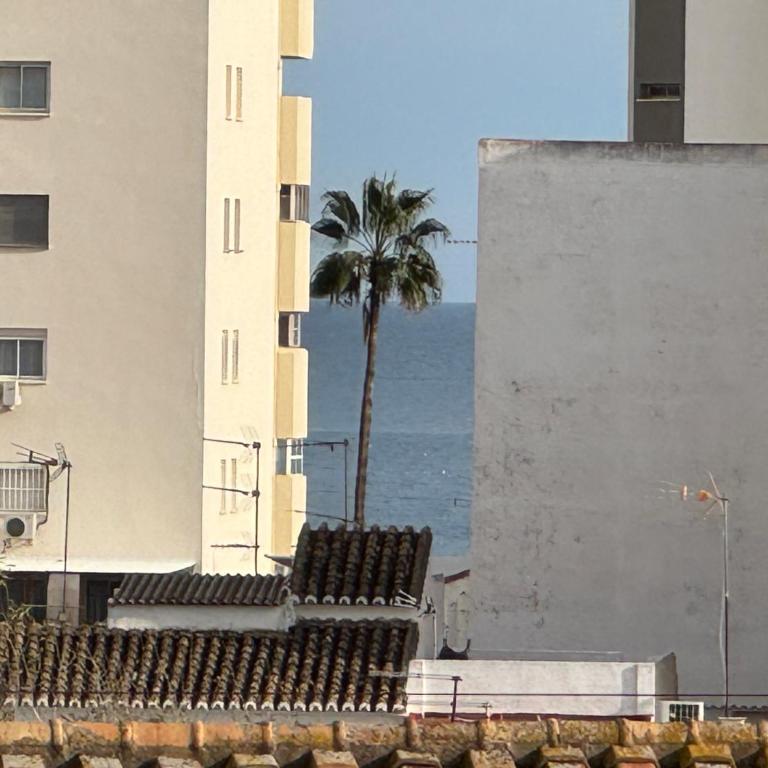 Penthouse met groot terras centrum FUENGIROLA - Apartamento de 1 dormitorio - 16