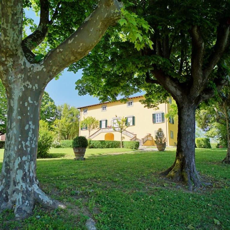 Historic Villa Franchini - Villa con Piscina Privata - 46