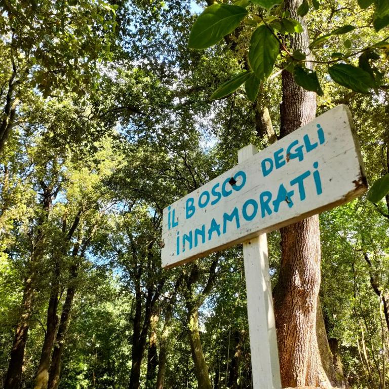 Historic Villa Franchini - Villa con Piscina Privata - 57