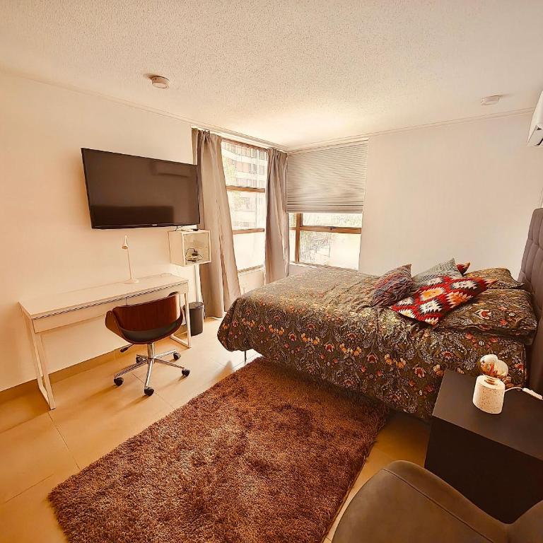 Luxury Providencia 305 - Apartment - 23
