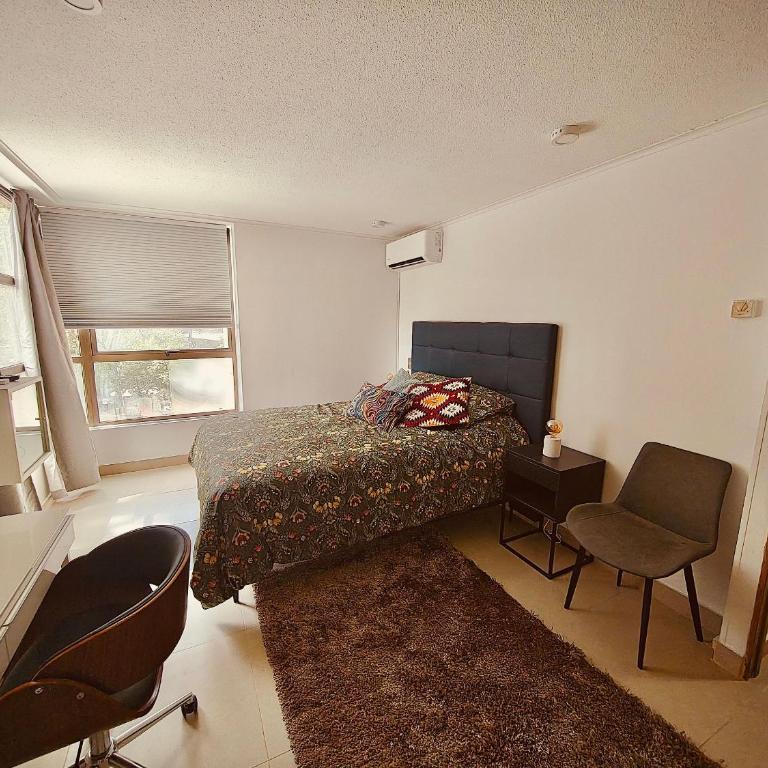 Luxury Providencia 305 - Apartment - 24