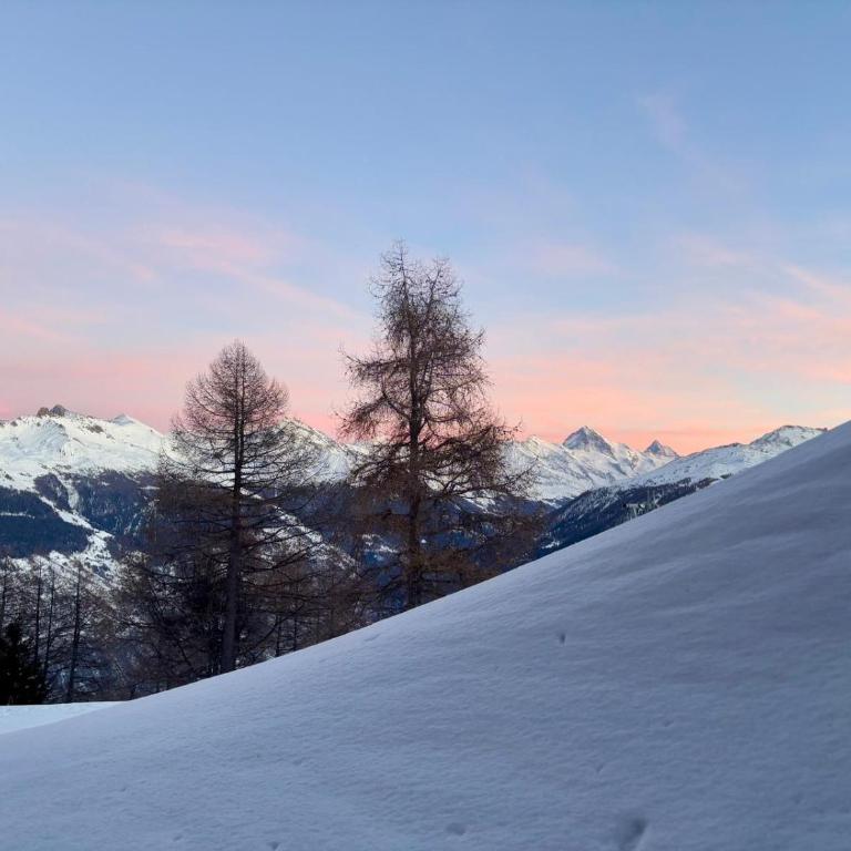 Ski-in and out in Thyon 2000 - Apartment mit 2 Schlafzimmern - 1