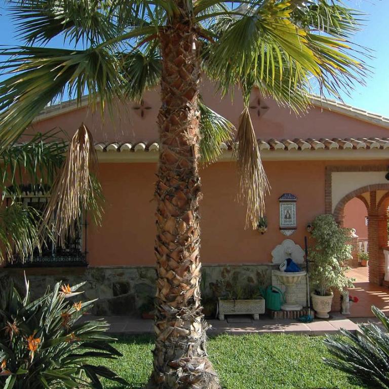 Villa La Palma - Villa con 3 dormitorios y piscina privada - 8