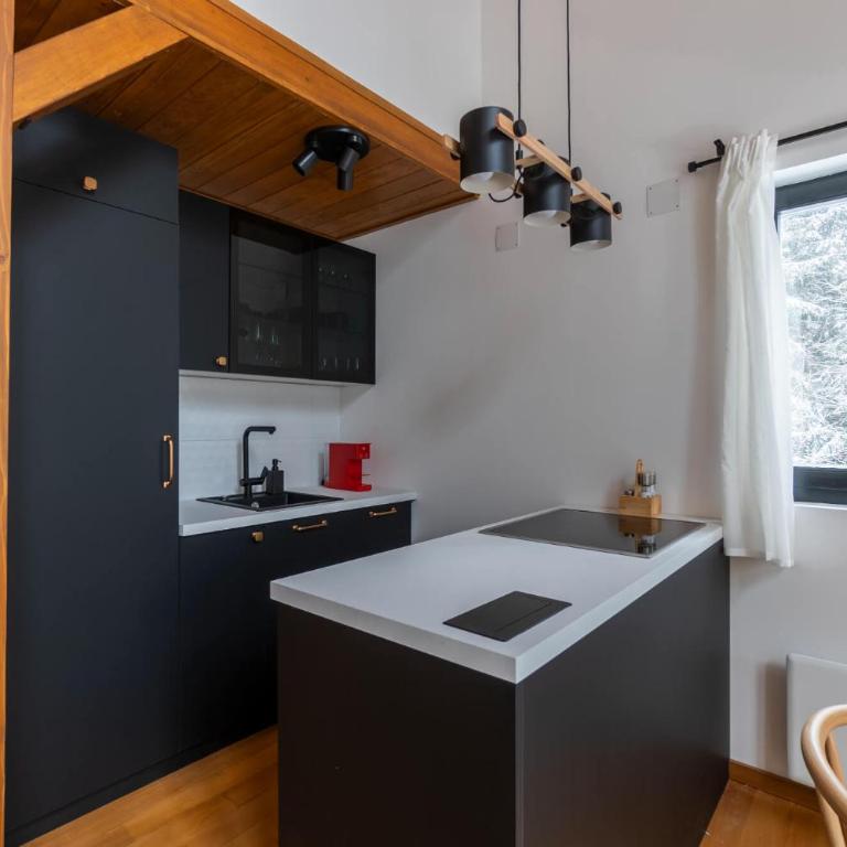 Gorska Vila - Three-Bedroom Chalet - 30