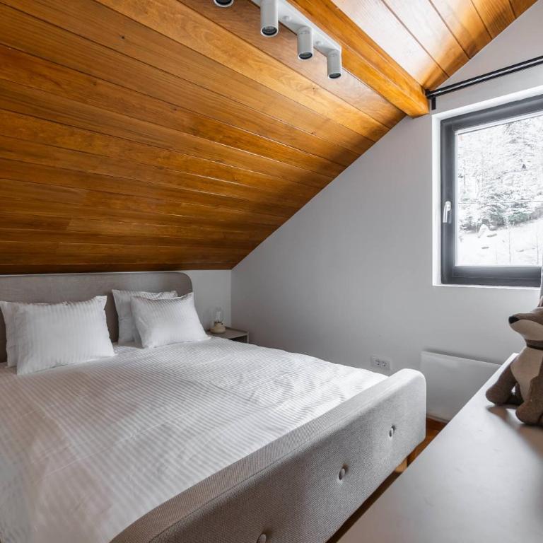 Gorska Vila - Three-Bedroom Chalet - 46