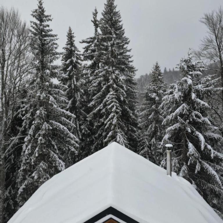 Gorska Vila - Three-Bedroom Chalet - 41