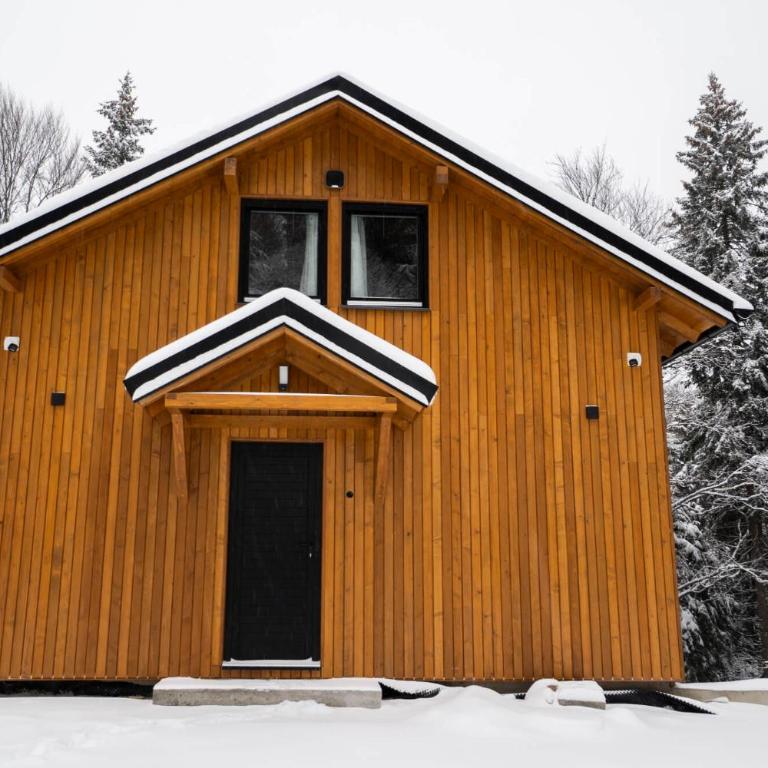 Gorska Vila - Three-Bedroom Chalet - 77