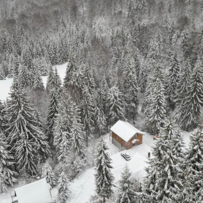 Gorska Vila - Three-Bedroom Chalet - 79