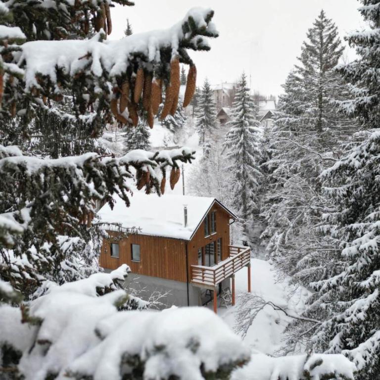 Gorska Vila - Three-Bedroom Chalet - 1
