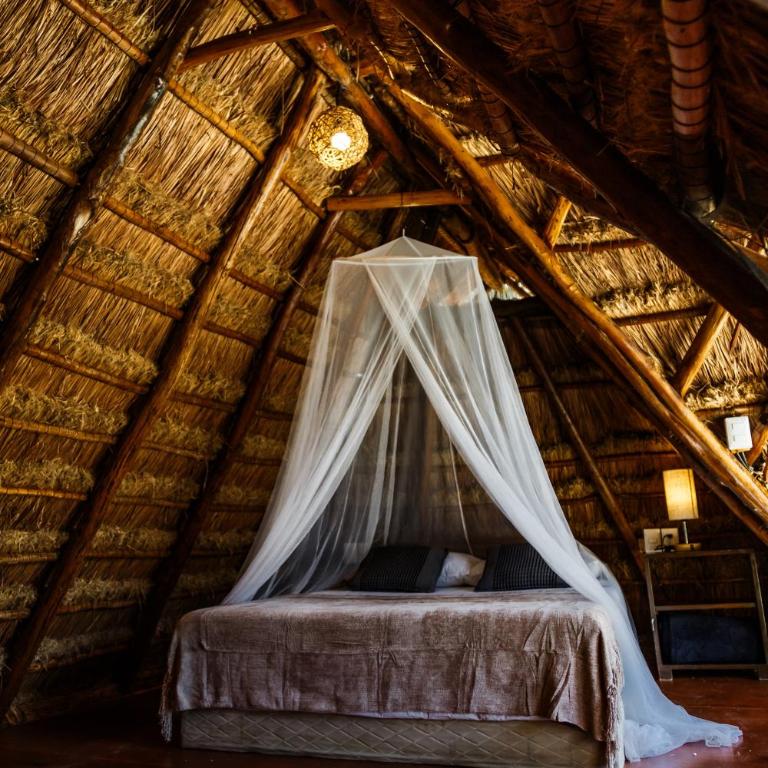 Eco Bañitas Tulum - Habitación Familiar con baño privado - 13