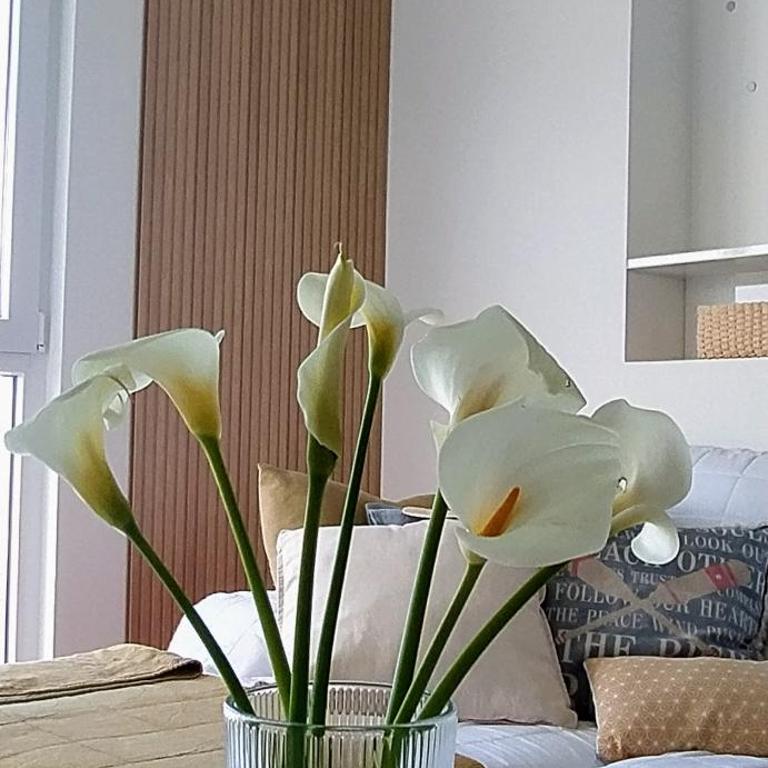 Descubre Foz con nosotros - Apartamento de 2 dormitorios con vistas al mar - 14
