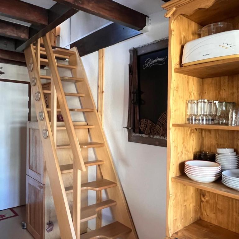 Ski in-ski out appartement in het centrum van Oz 3300 - Adelphies - One-Bedroom Apartment - 12