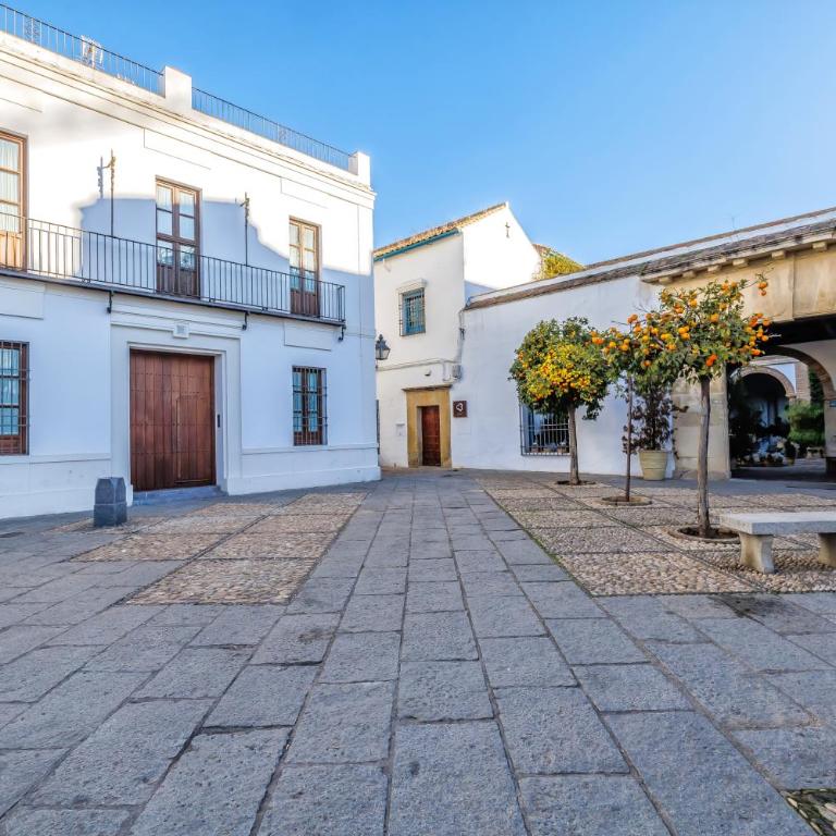 Apartamento Viana & Centro Histórico - Apartamento de 2 dormitorios - 23