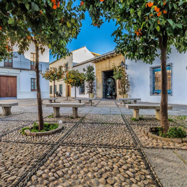 Apartamento Viana & Centro Histórico - Apartamento de 2 dormitorios - 26