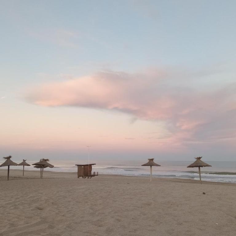 Gesell Norte Mar y Bosque - Apartamento de 1 dormitorio - 25
