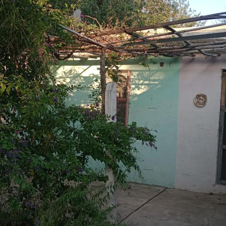 Willca Pirul - Casa de 2 dormitorios - 13