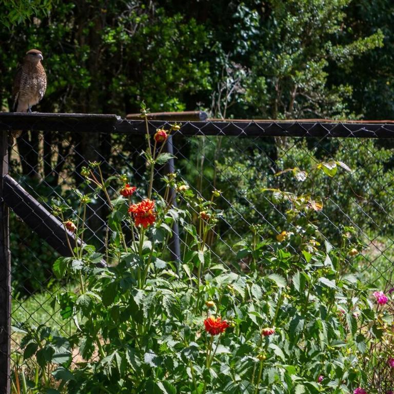Hermosa casa de campo cerca de Puerto Varas y el aeropuerto - Three-Bedroom Vacation Home - 19