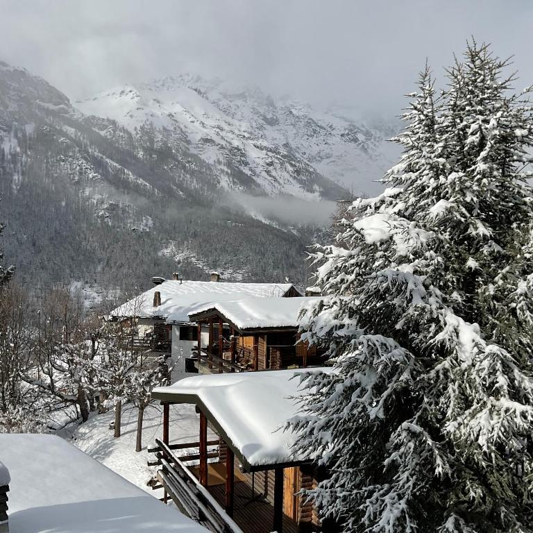 Terrazza Brengaz - Appartamento con 1 Camera da Letto - 14