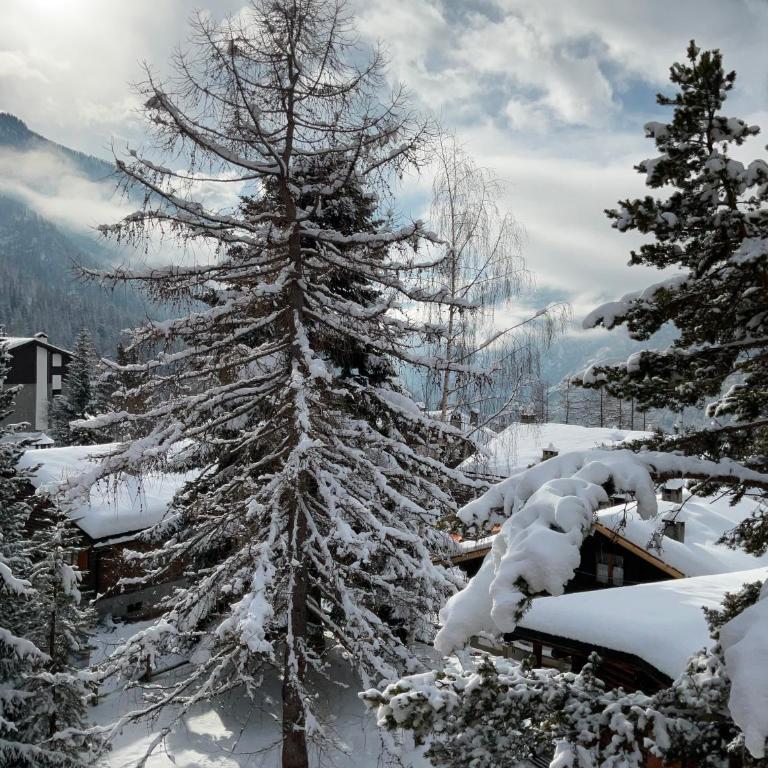 Terrazza Brengaz - Appartamento con 1 Camera da Letto - 12