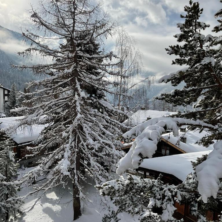 Terrazza Brengaz - Appartamento con 1 Camera da Letto - 13