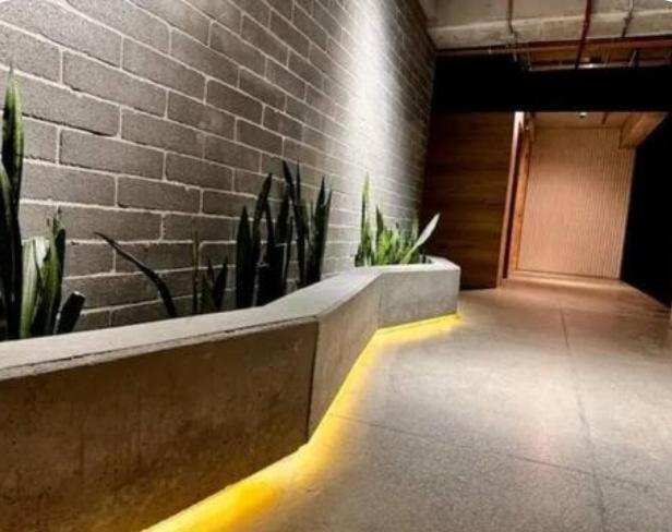 Hermoso Loft - Apartamento de 1 dormitorio - 3