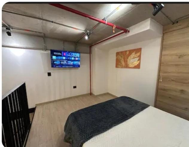 Hermoso Loft - Apartamento de 1 dormitorio - 4