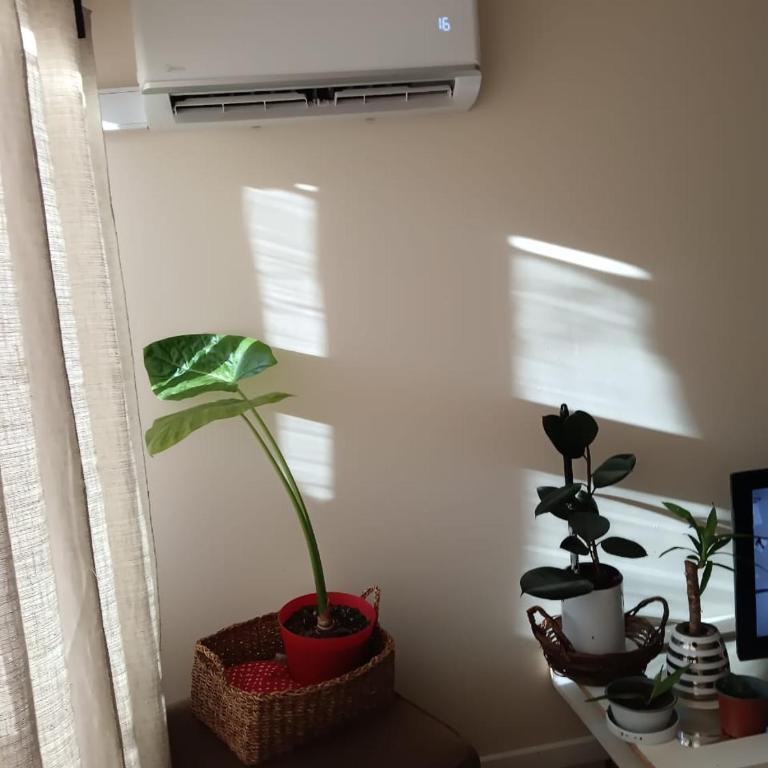 HERMOSO DPTO A PASOS DE PLAZA DE ARMAS,stgo - Apartamento de 1 dormitorio - 2