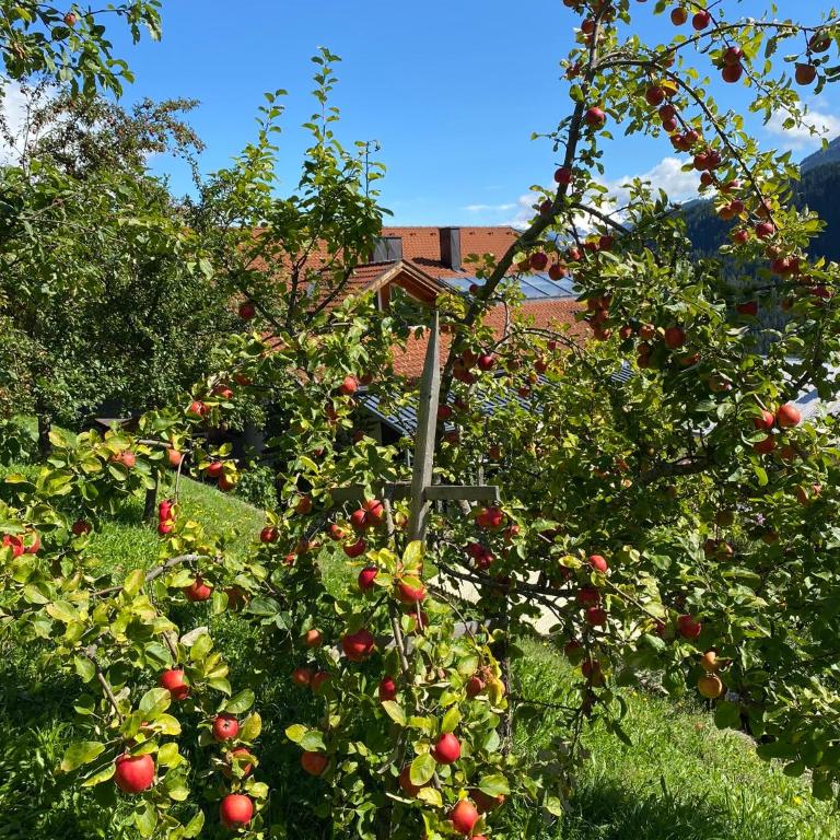 Landhaus Alpenzeit - Apartment mit 3 Schlafzimmern und Dusche - 41