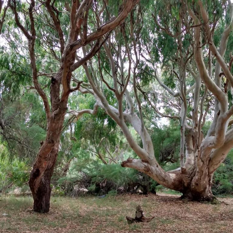 La Casita del Mar - Apartamento de 2 dormitorios - 11