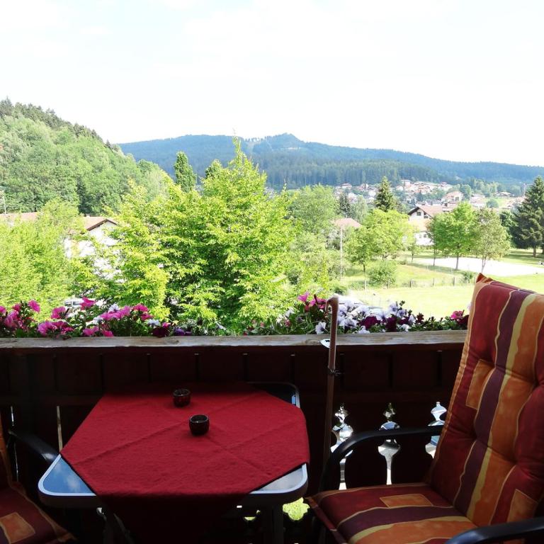 Haus Seidl - Studio mit Balkon - 12