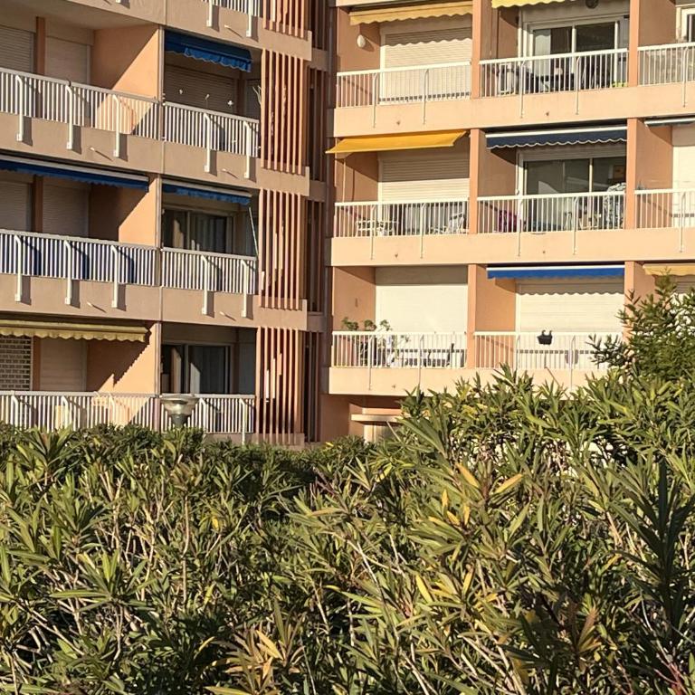 le mediterranee vasapolli - Appartement - Vue sur Mer - 13