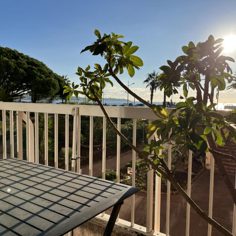 le mediterranee vasapolli - Appartement - Vue sur Mer - 18