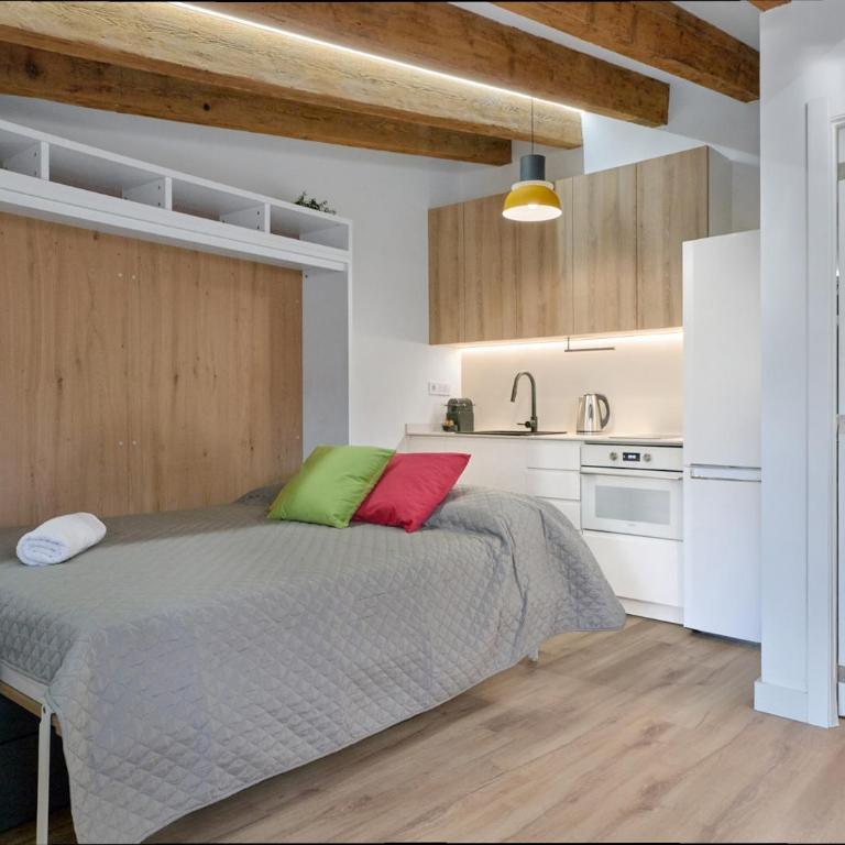 Ciutat Vella Modern Apartments - Estudio con terraza - 12