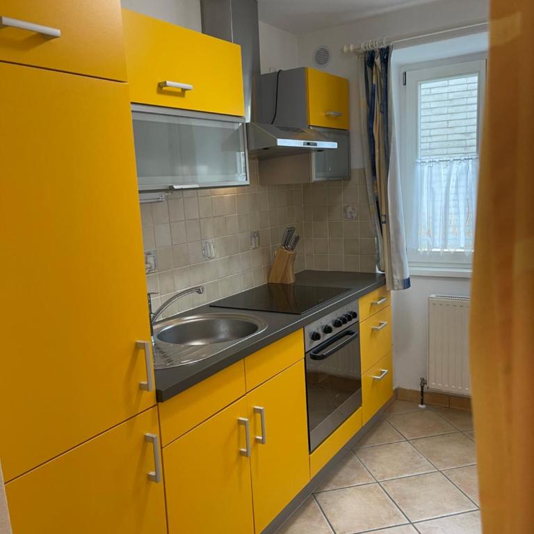 Traunkai Apartments - Zimnitz Blick - Apartment mit 1 Schlafzimmer - 7