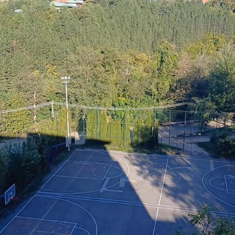 Forest River Sokobanja - One-Bedroom Apartment - 14