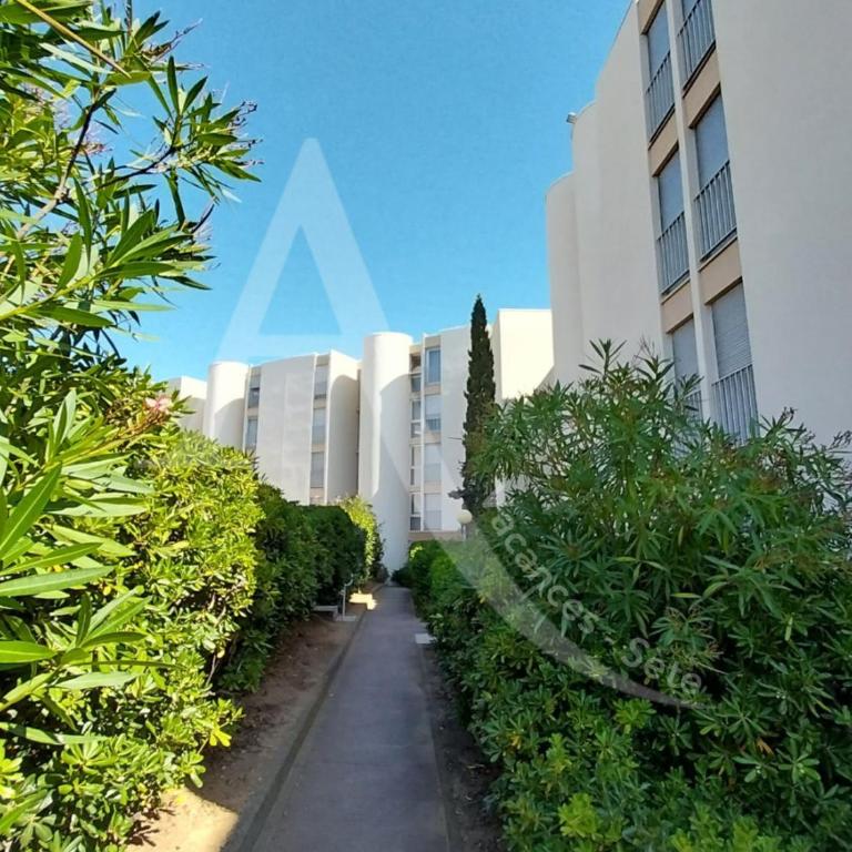 CONFORTABLE T2 EN FRONT DE MER, PARKING, WI-FI - Appartement - Vue sur Mer - 14