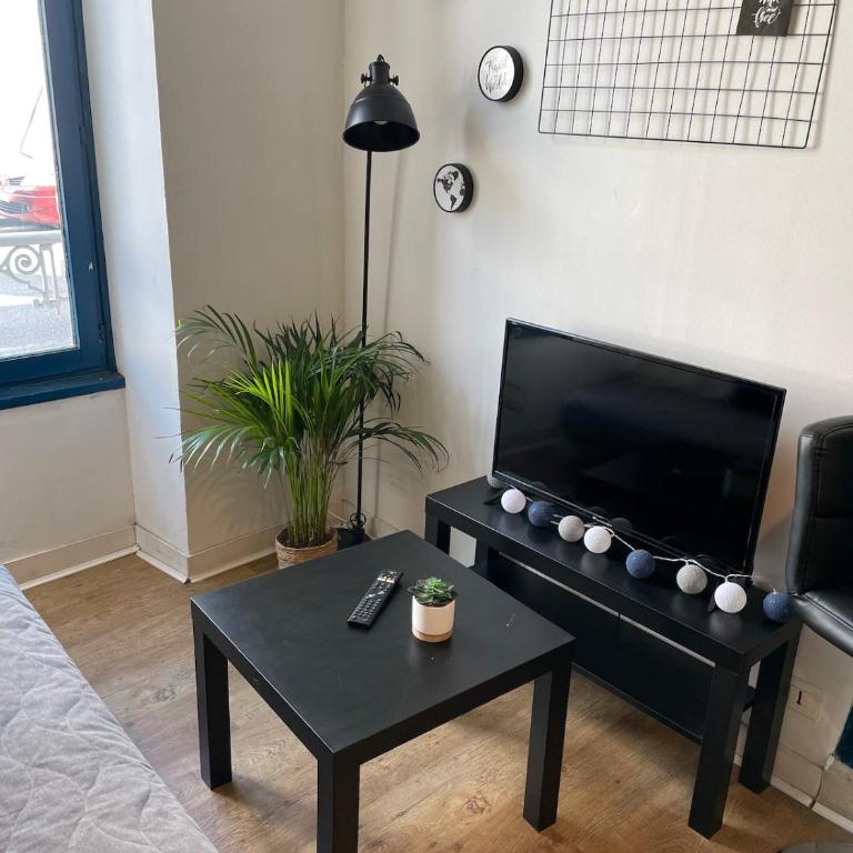 Charmant studio départ tardif - Apartment mit 1 Schlafzimmer - 7