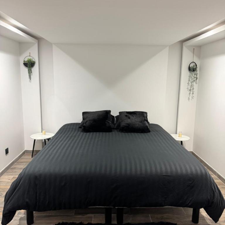 L'écrin - Appartement 1 Chambre - 7