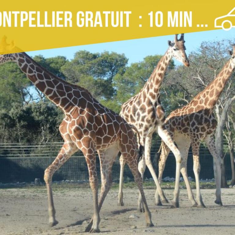 AMJA Proche clinique Saint-Roch apt 3 chambres 3 salles de bain parking gratuit idéal famille groupe coworking 10 min centre ville 10 min plage 5 min sortie autoroute - Three-Bedroom Apartment - 27