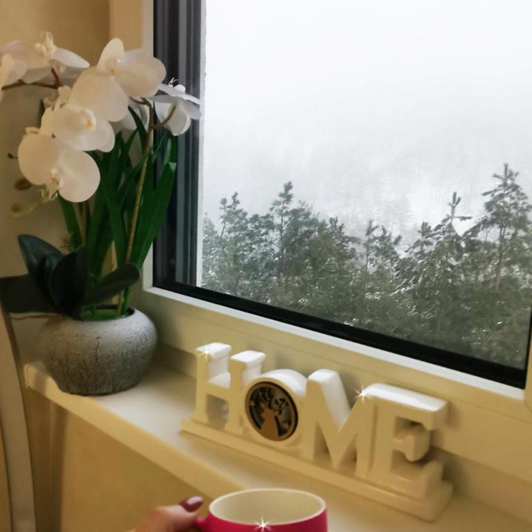 Zmaj apartman - Divčibare - Apartman sa 1 Spavaćom Sobom - 32