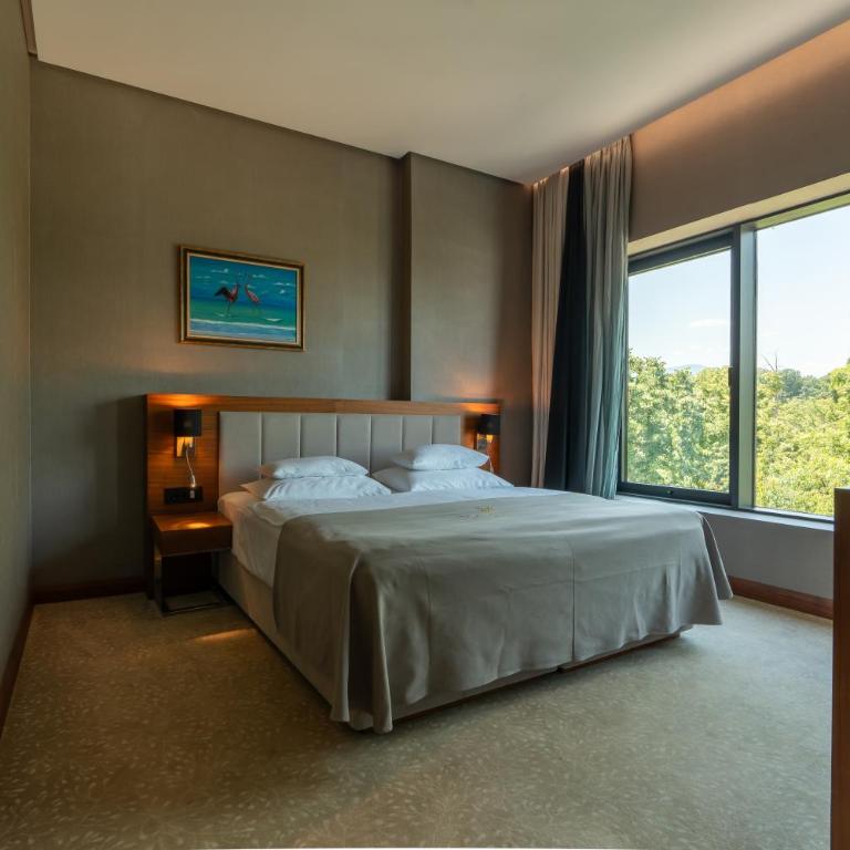 Hotel Tonanti - Deluks Dvokrevetna Soba sa Bračnim Krevetom/Zasebnim Krevetima - 1