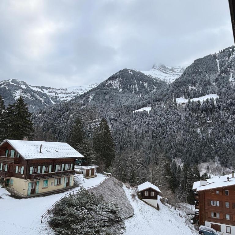 Mountain apartment in Port de Soleil Champery - Appartement 2 Chambres - 1