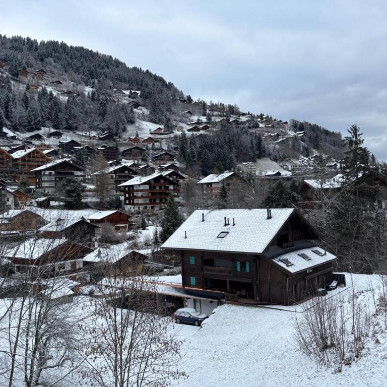 Mountain apartment in Port de Soleil Champery - Appartement 2 Chambres - 16