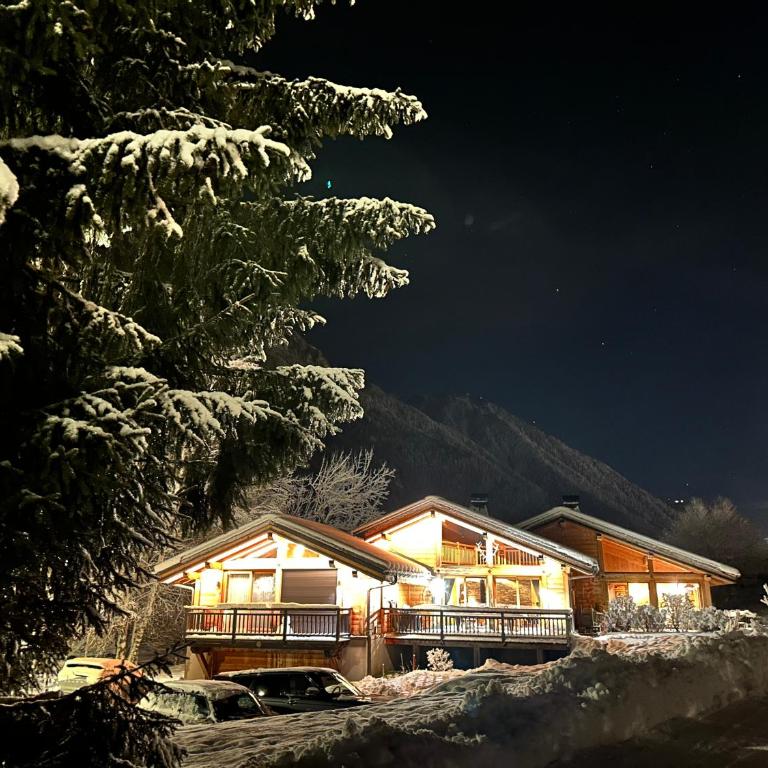 Grand chalet Le Trappeur - Chamonix - Chalet - 1