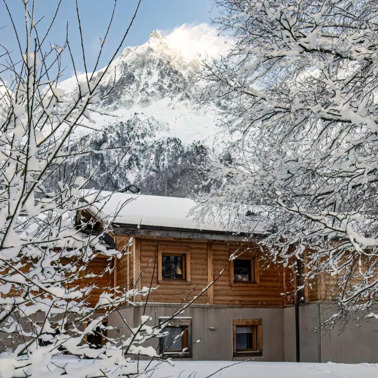 Grand chalet Le Trappeur - Chamonix - Chalet - 2