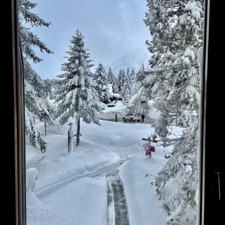 Acogedor apartamento a pie de pistas, Baqueira 1500 - Two-Bedroom Apartment with Terrace - 5