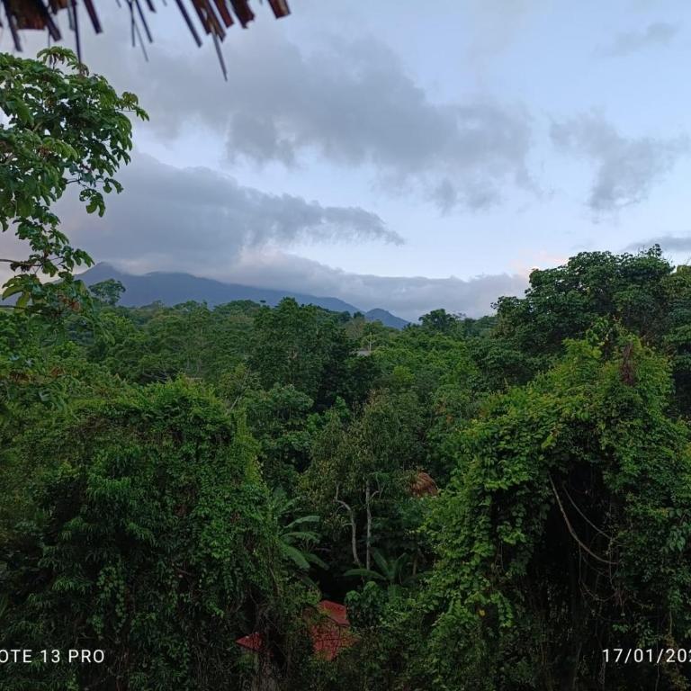 Hostal El Eden Dentro del Parque Tayrona - Habitación Doble Deluxe con vistas a la montaña - 1 o 2 camas - 14