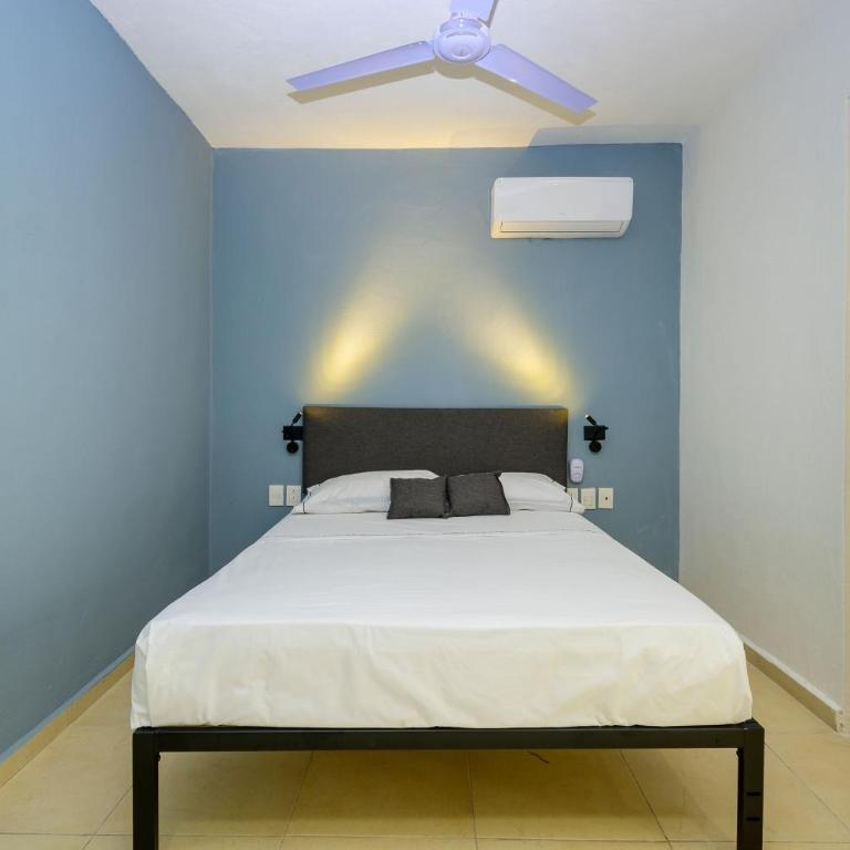 Hotel Paso del Mar Playa del Carmen - Standard Single Room - 2